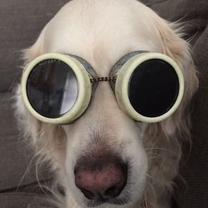 Meet your Posher, Kip